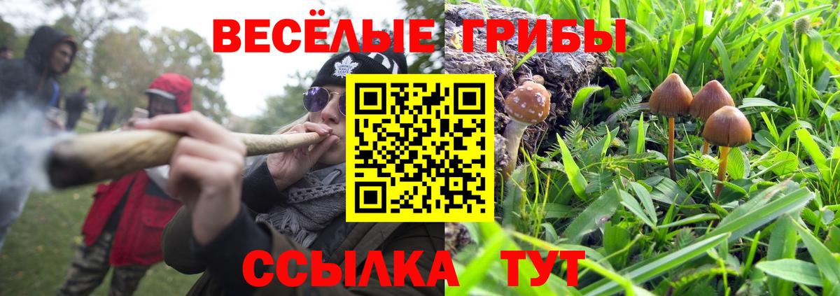 Кушва  Псилоцибиновые грибы Magic Shrooms  Галлюциногенные грибы Psilocybine cubensis  Вход с VPN 